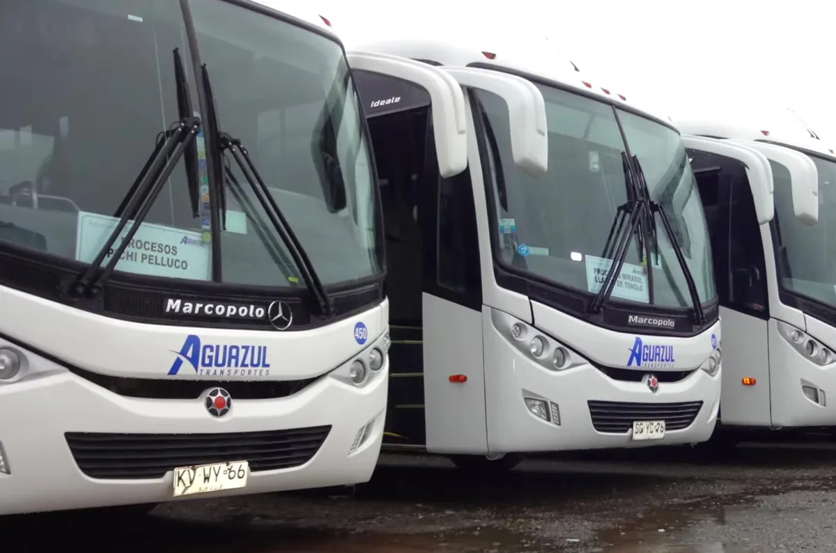 Tres buses blancos de Aguazul Transportes estacionados uno al lado del otro en un patio mojado por la lluvia